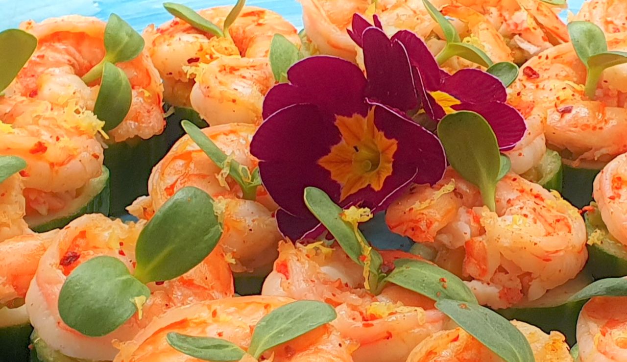 Fingerfood kunz-Mahl Catering Koeln Garnelen auf Gurke