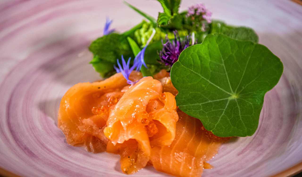 Sommerprogram lachs mit Kaviar und Brunnenkresse